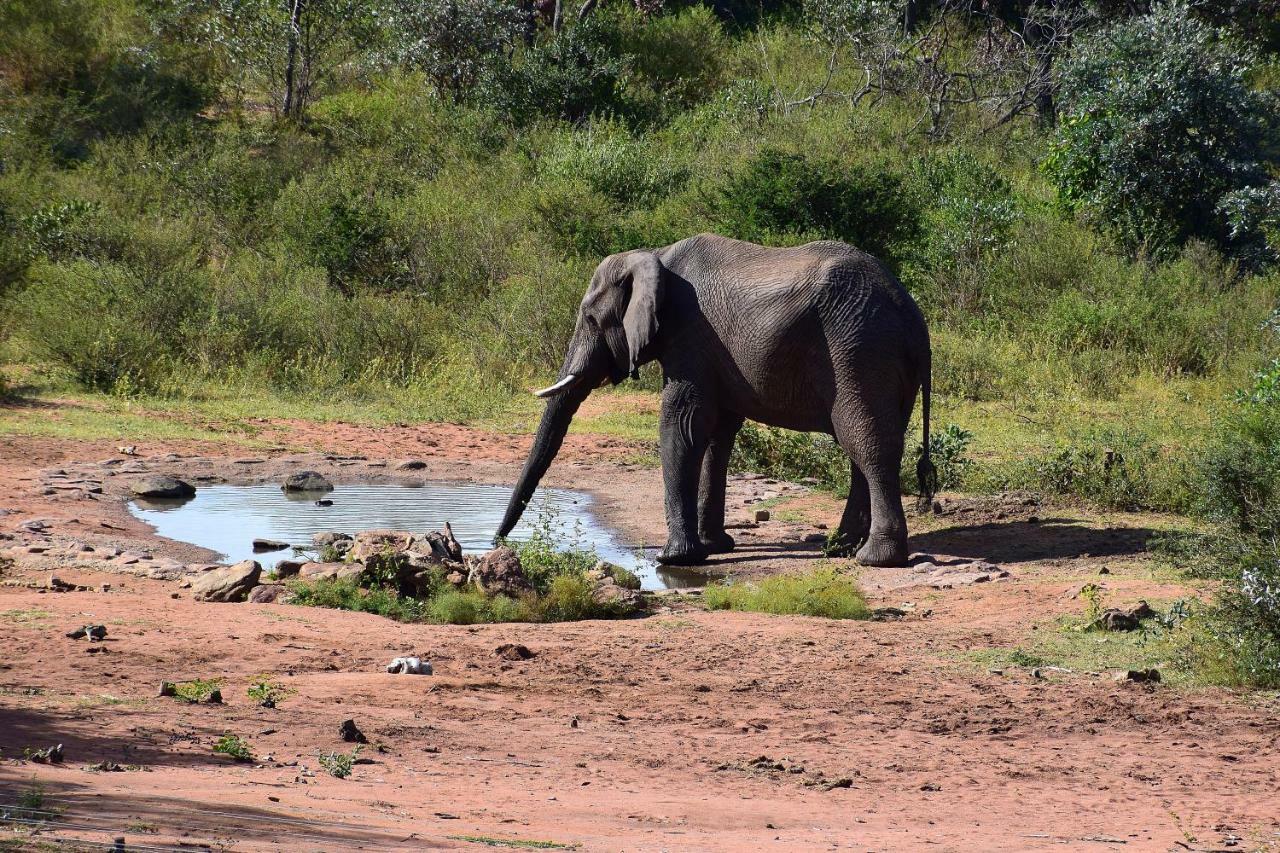 Sekala Private Game Lodge Welgevonden Wildreservaat Buitenkant foto